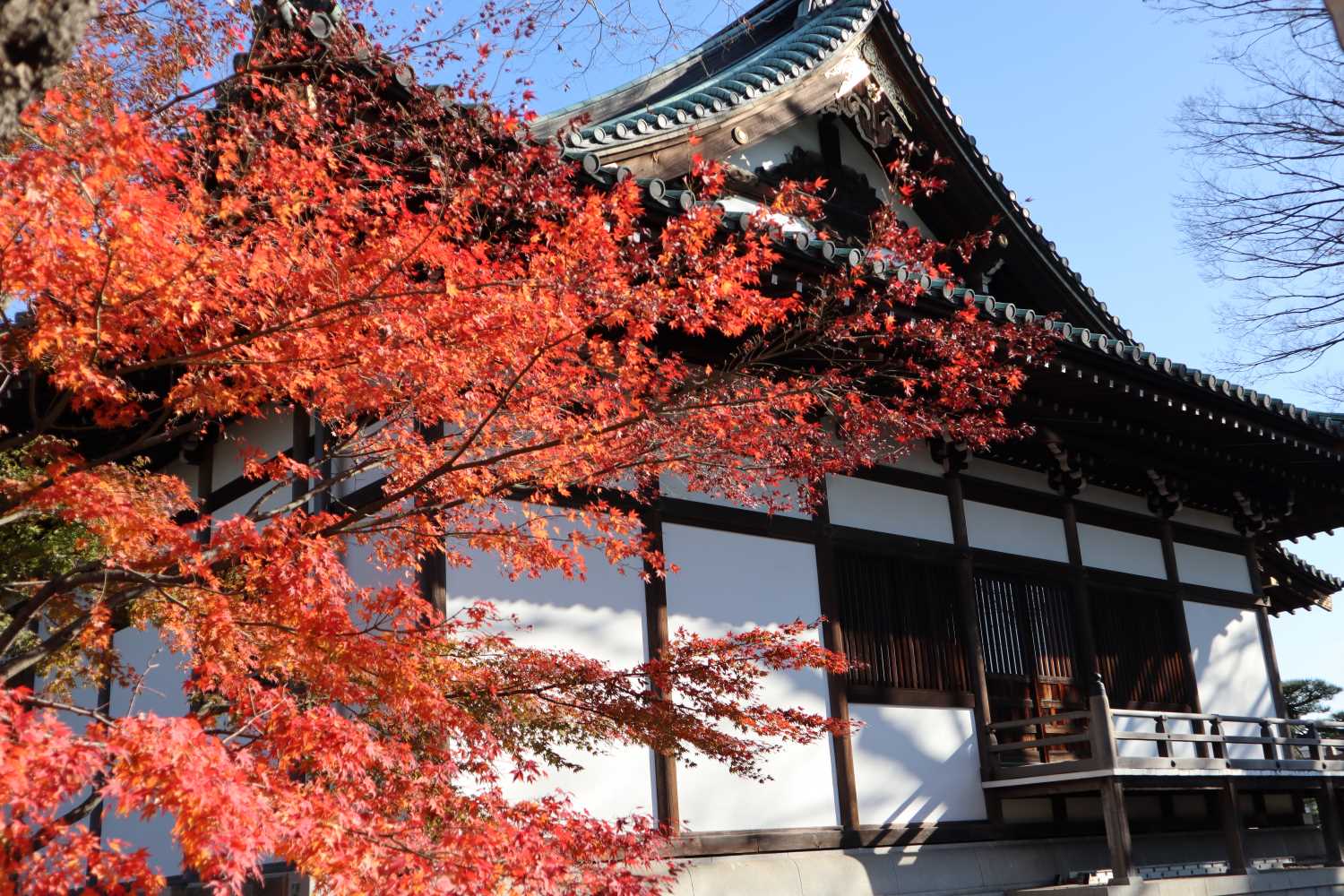 四季の風景5
